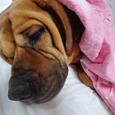 세실농장 이미지