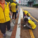 대한노인회 구로구지회 이미지