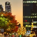 마방로4길 15-56 | 오락가락하는 가을의 어디쯤_#21