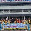 파인이에스티파인EST