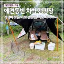 펫밀리 | 가평 애견동반 캠핑장 펫밀리캠프온｜넥쏘 차박 후기