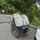 괴산 성불산자연휴양림 캠핑 야영장 데크 후기