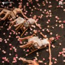 세종뮤직월드(주) 이미지