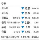 (SGC)쇼핑몰 이미지