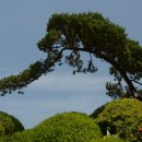 하늘물빛정원 이미지