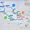 제주 삼다수 숲길 이미지