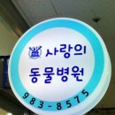 솔샘 동물병원 이미지