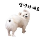 정관거기술집 이미지
