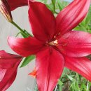 수원-매산-204 이미지