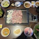 국제오리 이미지