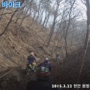 와일드라이더스