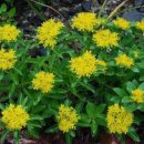 기린초등학교 이미지