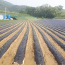 김금순농장 이미지