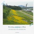 대평동_금강변길 네이버블로그