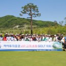 VIP골프클럽 이미지