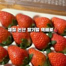 푸룻라이프