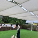 주식회사 견생상점 이미지