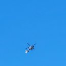 보동이네 이미지