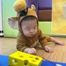 증평군립도서관 | 증평 영유아프로그램) 증평군립도서관 ‘콩대장‘ 프로그램 참여 후기