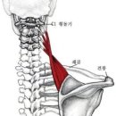 마천경희한의원 이미지