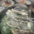 천상사우나 | 제주도 출장, 휴가 회고 - 제주도 러닝, 다이빙, 스노쿨링 원없이 했는데 또 하고 싶네