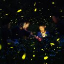 오성태권도 | 9월 10월 무주 완주 가볼만한곳 볼거리 오성한옥마을 반딧불축제 전북도립미술관 머루와인동굴 1박2일...