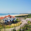 장꽁 펜션 이미지