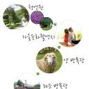 노선목장 브런치