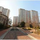 중앙공원(1007) 이미지