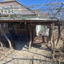 인덕로 | 구미 산동 맛집 가족모임으로 좋았던 산동죽마고우 방문후기