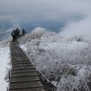 부산 혜성학교 이미지