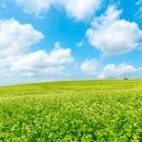 공항대로 이미지