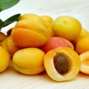 살구숲한의원 이미지