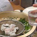 하모횟집 | 장흥 가을 전어 하모 맛집 맛보러 다녀온 노포 맛집 어촌계 횟집 내돈내산 후기