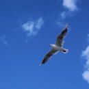 진보공공도서관 이미지