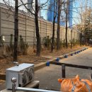 조경당 | 조경기능사 실기 합격 후기, 준비물/수목 감별 꿀팁/도면, 작업형 공부 방법