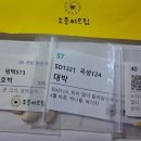 곡성-124 이미지