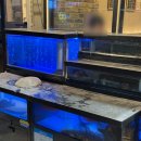 싱싱종합어시장 이미지