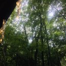 거제자연휴양림 이미지