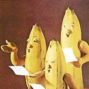 바나나 PC 이미지