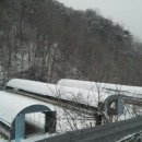 허니농장 이미지