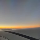 조지아팜 | 주는 선물, 포르투갈 여행 16일차(8/21) - 두바이 팜주메이라 전망대, 사막투어 후 한국으로-! (여행...