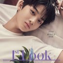 와아이라 이미지