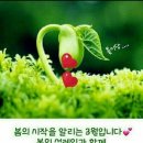 샬롬 이미지