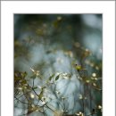 산본중앙공원 이미지