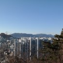 대명목재합판 이미지