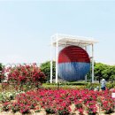 장미정원 이미지