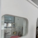 반짝일개 이미지