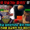 한국 무술가는 중국인! 주작질 하던 중국에서 짜장 격투 천재를 학살 참교육한 한국 에이스 이미지