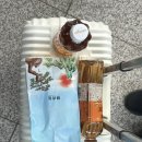 이것이짬뽕이다 용암점 | 260206 울릉도 설국여행 2박 3일이 아닌 3박 4일 후기